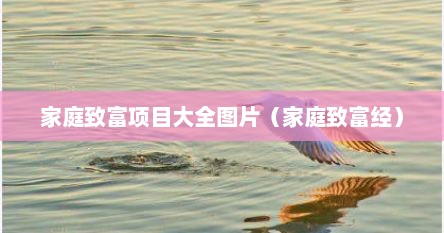 家庭致富项目大全图片（家庭致富经）