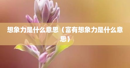 想象力是什么意思（富有想象力是什么意思）