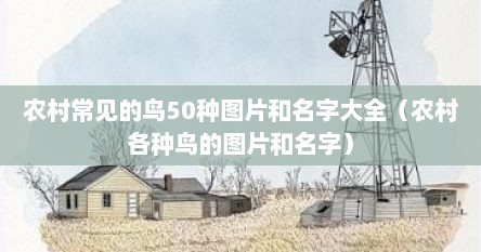 农村常见的鸟50种图片和名字大全（农村各种鸟的图片和名字）