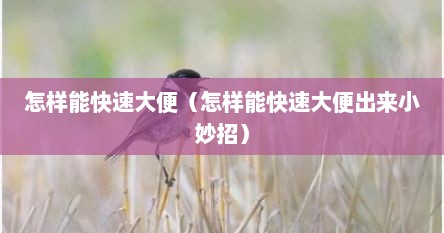 怎样能快速大便（怎样能快速大便出来小妙招）