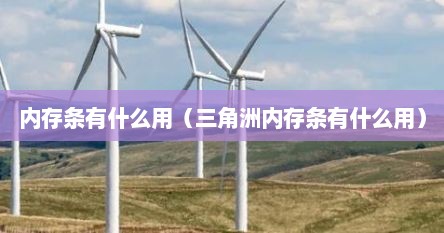 内存条有什么用（三角洲内存条有什么用）