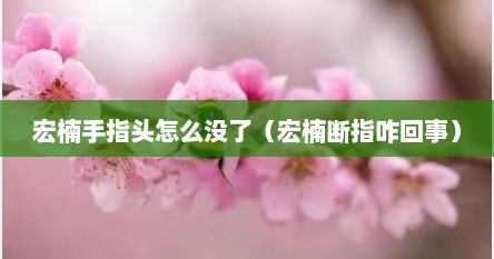 宏楠手指头怎么没予（宏楠断指咋回事）