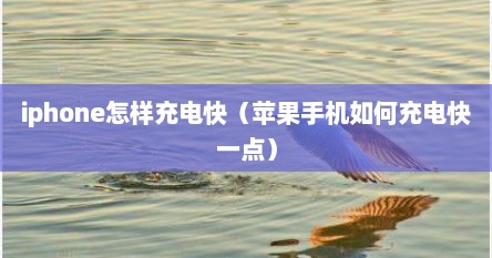 iphone怎样充电快（苹果手机如何充电快一点）