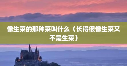 像生菜的那种菜叫什么（长得很像生菜又不是生菜）
