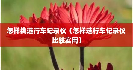 怎样挑选行车记录仪（怎样选行车记录仪比较实用）