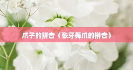 爪子的拼音（张牙舞爪的拼音）