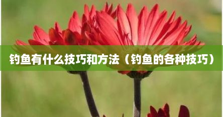 钓鱼有什么技巧和方法（钓鱼的各种技巧）