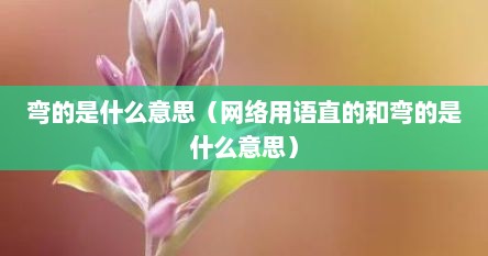 弯的是什么意思（网络用语直的和弯的是什么意思）