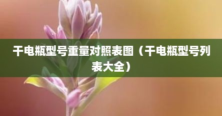 干电瓶型号重量对照表图（干电瓶型号列表大全）