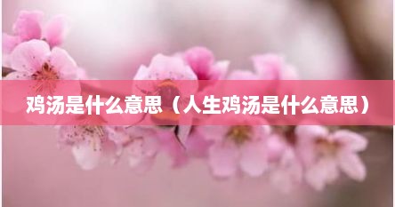 鸡汤是什么意思（人生鸡汤是什么意思）