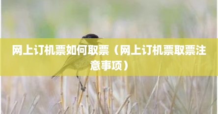 网上订机票如何取票（网上订机票取票注意事项）