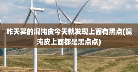 昨天买的混沌皮今天就发现上面有黑点(混沌皮上面都是黑点点)