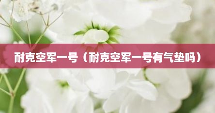 耐克空军一号（耐克空军一号有气垫吗）