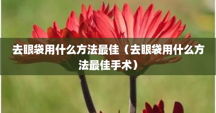 去眼袋用什么方法最佳（去眼袋用什么方法最佳手术）