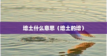 培土什么意思（培土的培）