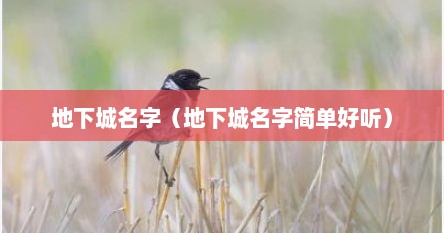 地下城名字大全英文名（地下城名字简短霸气）