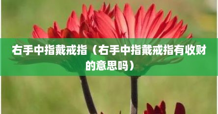 右手中指戴戒指（右手中指戴戒指有收财的意思吗）