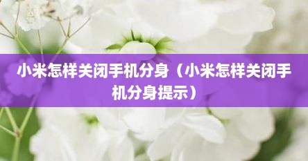 小米怎样关闭手机分身（小米怎样关闭手机分身提示）