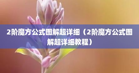 2阶魔方公式图解超详细（2阶魔方公式图解超详细教程）