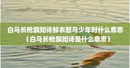 白马长枪飘如诗鲜衣怒马少年时什么意思（白马长枪飘如诗是什么意思）