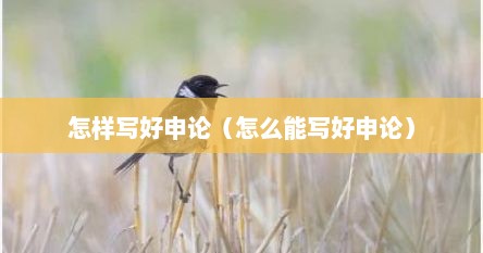 怎样写好申论（怎么能写好申论）