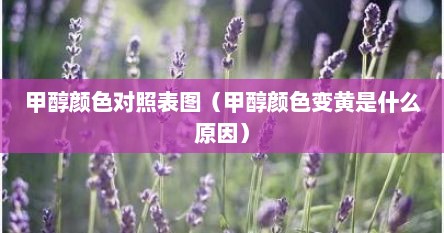 甲醇颜色对照表图（甲醇颜色变黄是什么原因）