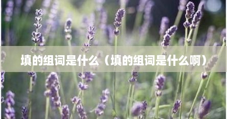 填的组词是什么（填的组词是什么啊）