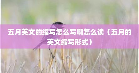 五月英文的缩写怎么写啊怎么读（五月的英文缩写形式）