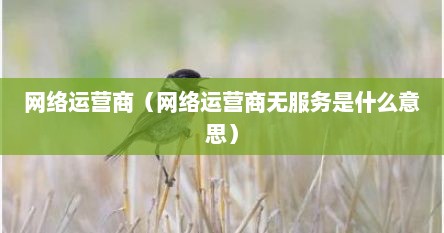 网络运营商（网络运营商无服务是什么意思）