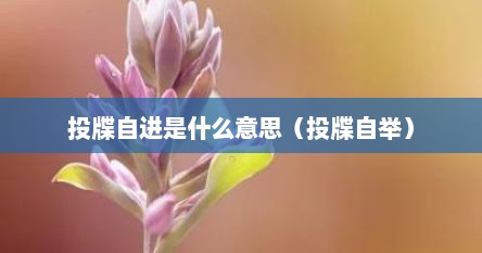 投牒自进是什么意思（投牒自举）
