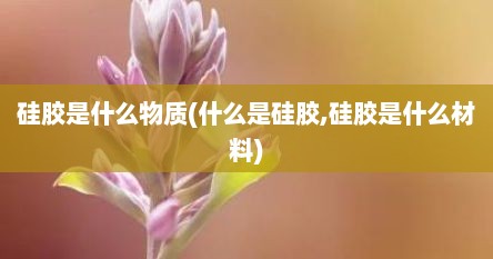 硅胶是什么物质(什么是硅胶,硅胶是什么材料)