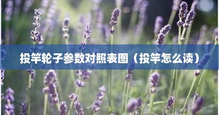 投竿轮子参数对照表图（投竿怎么读）