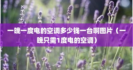 一晚一度电的空调多少钱一台啊图片（一晚只需1度电的空调）