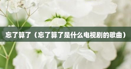 忘了算了（忘了算了是什么电视剧的歌曲）