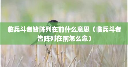 临兵斗者皆阵列在前什么意思（临兵斗者皆阵列在前怎么念）