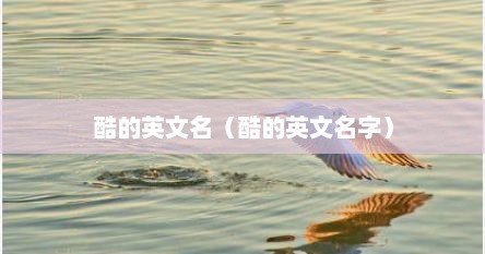 酷的英文名（酷的英文名字）