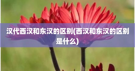 汉代西汉和东汉的区别(西汉和东汉的区别是什么)