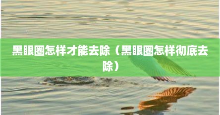 黑眼圈怎样才能去除（黑眼圈怎样彻底去除）