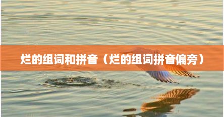 烂的组词和拼音（烂的组词拼音偏旁）