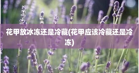 花甲放冰冻还是冷藏(花甲应该冷藏还是冷冻)