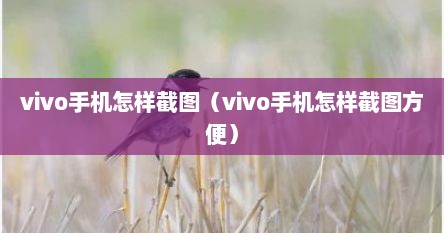 vivo手机怎样截图（vivo手机怎样截图方便）