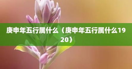 庚申年属什么命（庚申年的纳音五行）