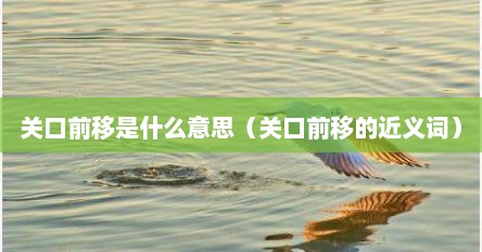 关口前移是什么意思（关口前移的近义词）