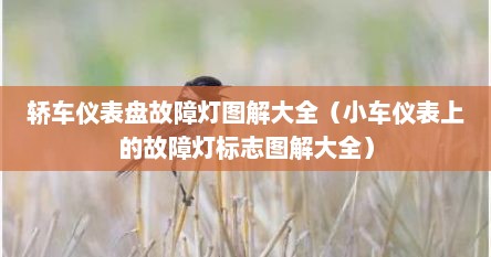 轿车仪表盘故障灯图解大全（小车仪表上的故障灯标志图解大全）