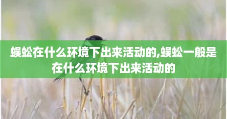 蜈蚣在什么环境下出来活动的,蜈蚣一般是在什么环境下出来活动的