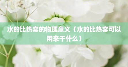 水的比热容的物理意义（水的比热容可以用来干什么）