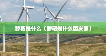 醪糟是什么（醪糟是什么菌发酵）