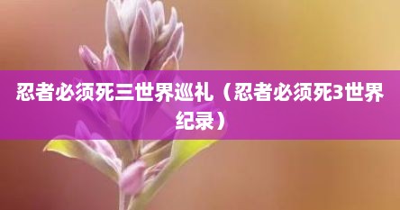忍者必须死三世界巡礼（忍者必须死3世界纪录）