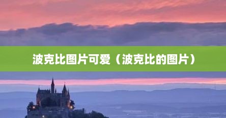 波克比图片可爱（波克比的图片）