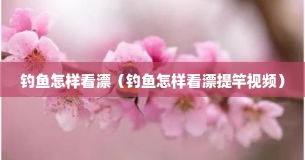 钓鱼怎样看漂（钓鱼怎样看漂提竿视频）